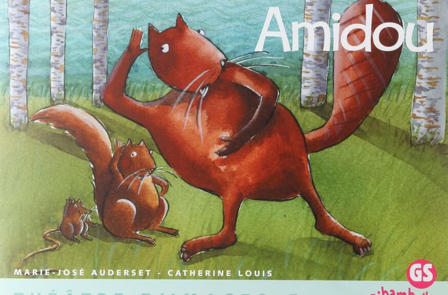 Image représentant la couverture du livre Amidou
