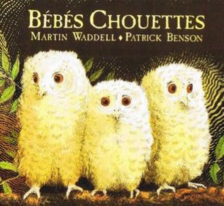 Image représentant la couverture du livre Bébés Chouettes